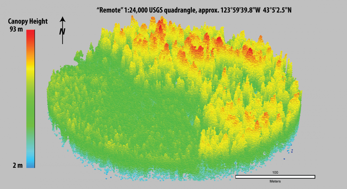 Canopy Analysis