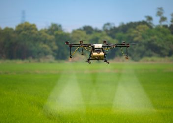 Agriculture drone fly to sprayed fertilizer on the rice fields